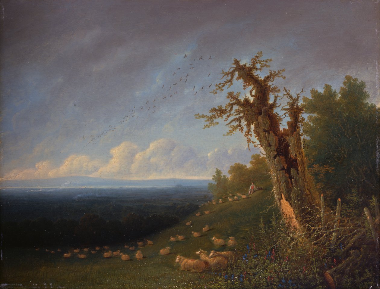 Pastýř na svahu od William Turner of Oxford