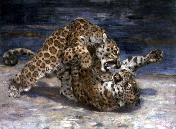 Leopards Fighting, cca 1910 (olej na plátně) od William Walls