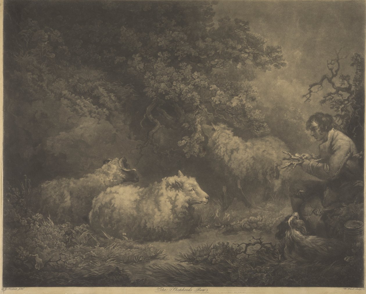 The Shepherd Boy od William Ward