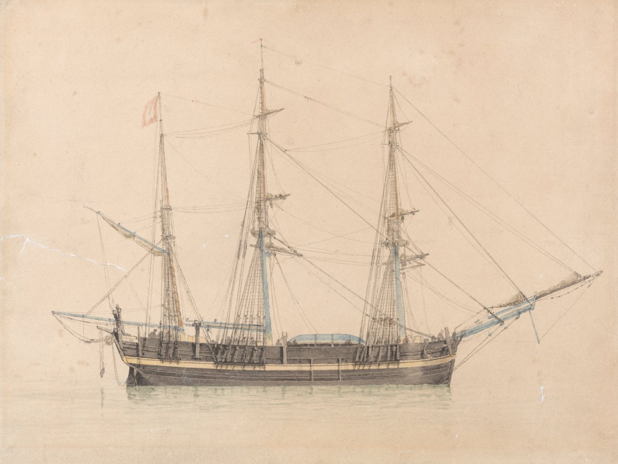 Velrybář "pravá láska" z Hullu od William Ward