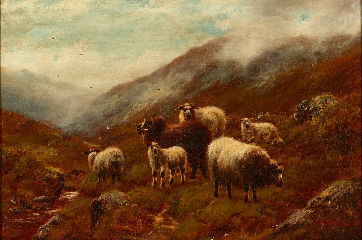 Highland Sheep On a Hillside (olej na plátně) od William Watson