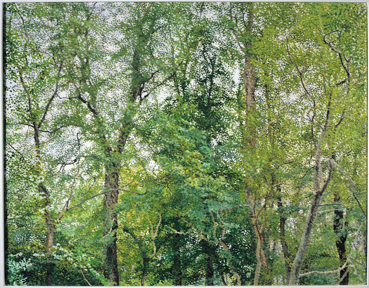 Jubilejní plantáž od William Wilkins