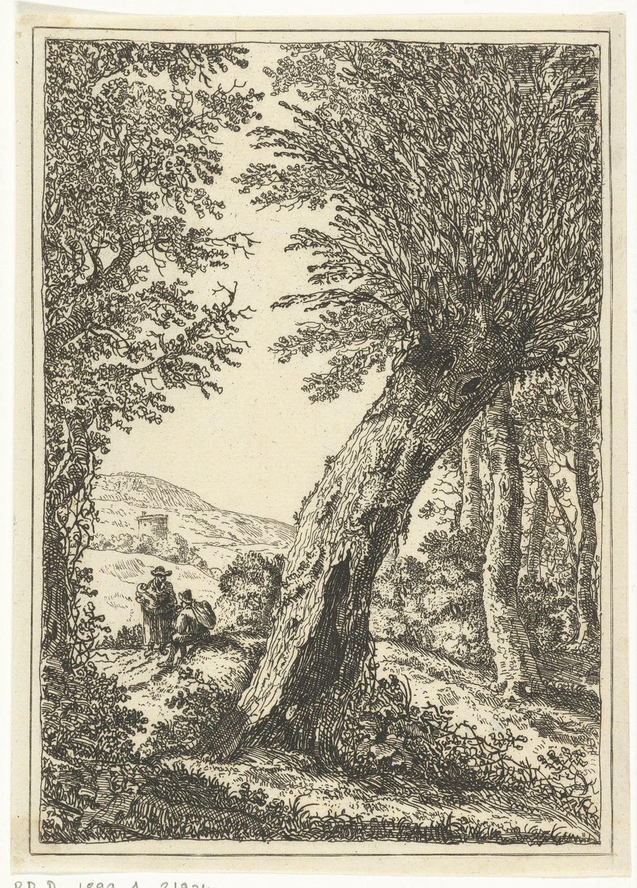 Vrba od William Young Ottley