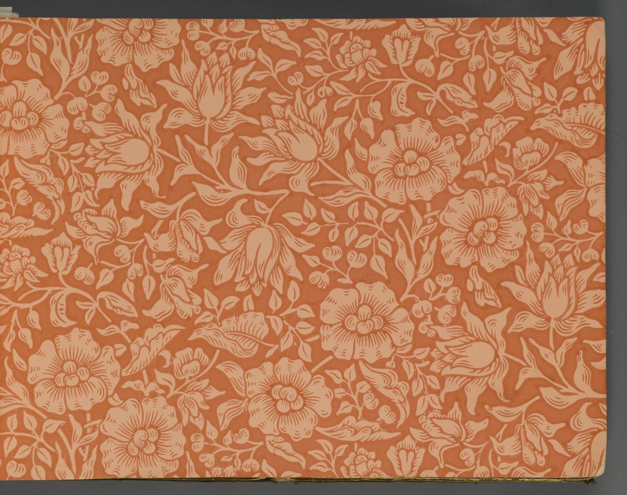 Vzorník tapet, před rokem 1917 (tisk) od William and Company Morris
