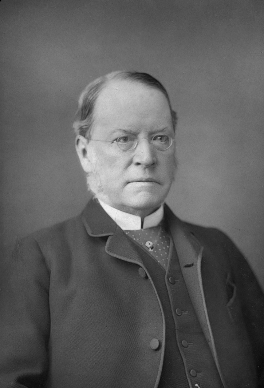 Lyon Playfair , skotský chemik a politik, 1890-1894 od William and Daniel Downey