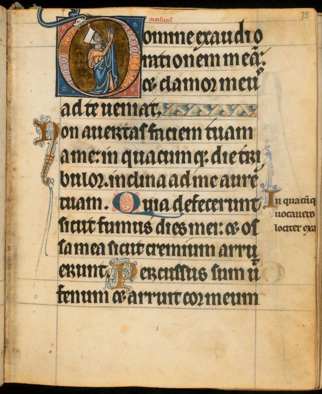 Přidat. 49999, f.75 Iniciála 