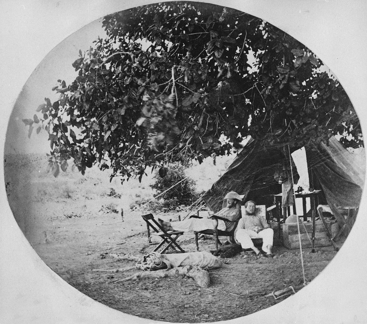 Horký den v indické džungli, kolem roku 1860 od Willoughby Wallace Hooper