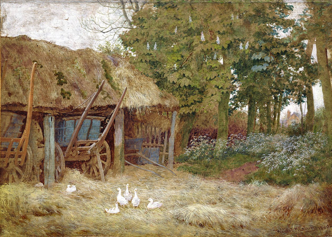Kachny, 1880 (wc s barvou karoserie na papíře) od Wilmot Pilsbury
