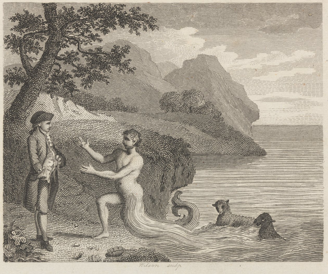 Courtier a Proteus od Wilson