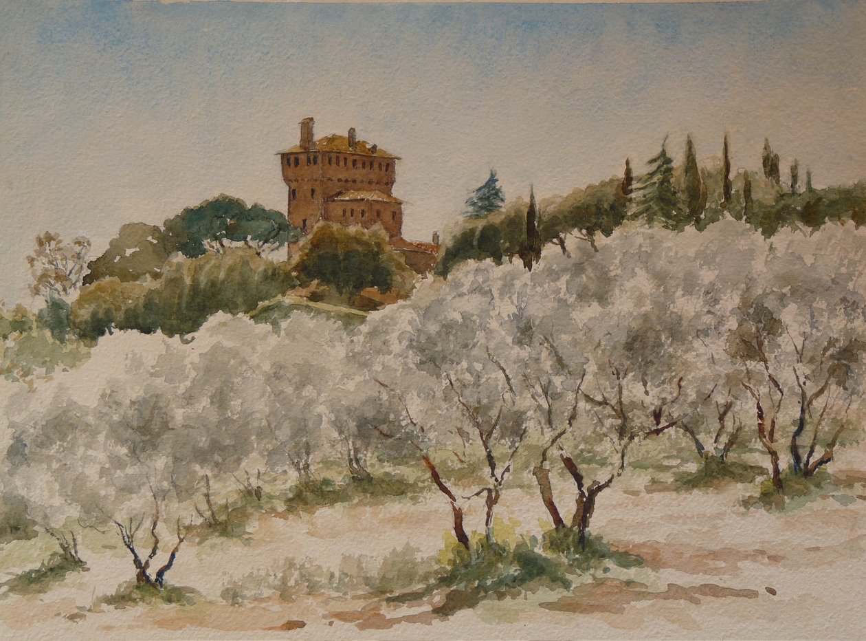 883 Pal Massaini, nr Pienza od Wilson Clive