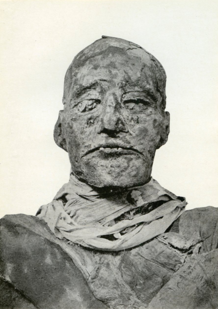 Hlava mumie Ramesese III., staroegyptského faraona 20. dynastie, c1156 př.nl 1926 od Winifred Mabel Brunton