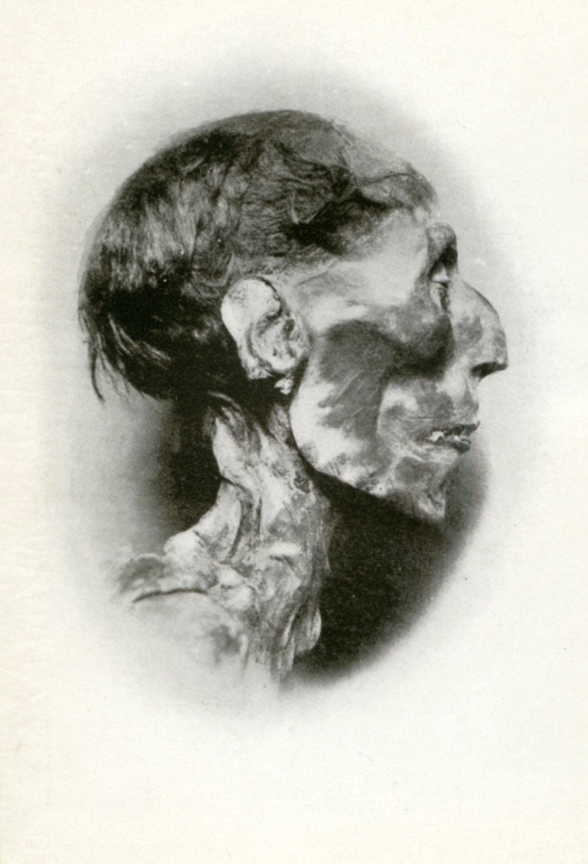 Hlava mumie Ramesese II., staroegyptského faraona z 19. dynastie, c1212 př.nl 1926. od Winifred Mabel Brunton