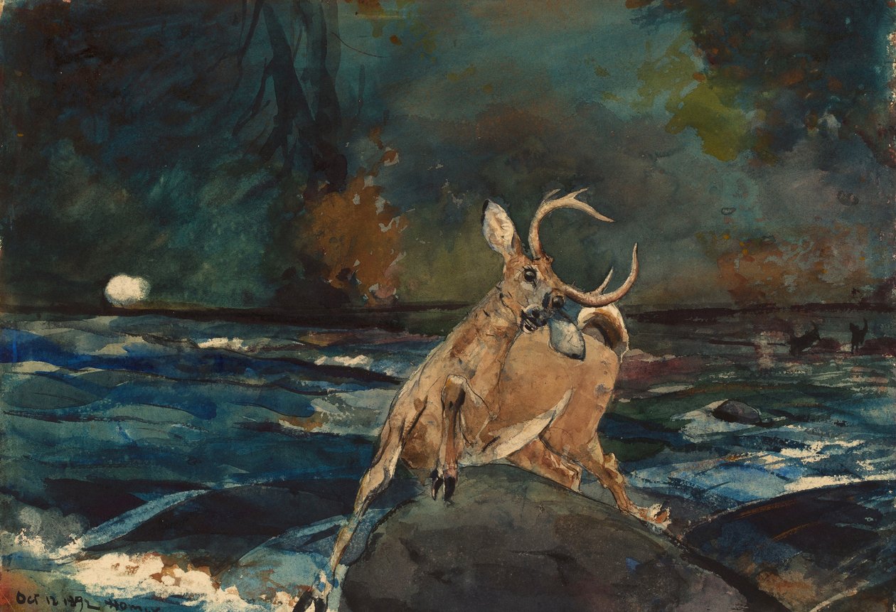 Dobrá střela, Adirondacks od Winslow Homer