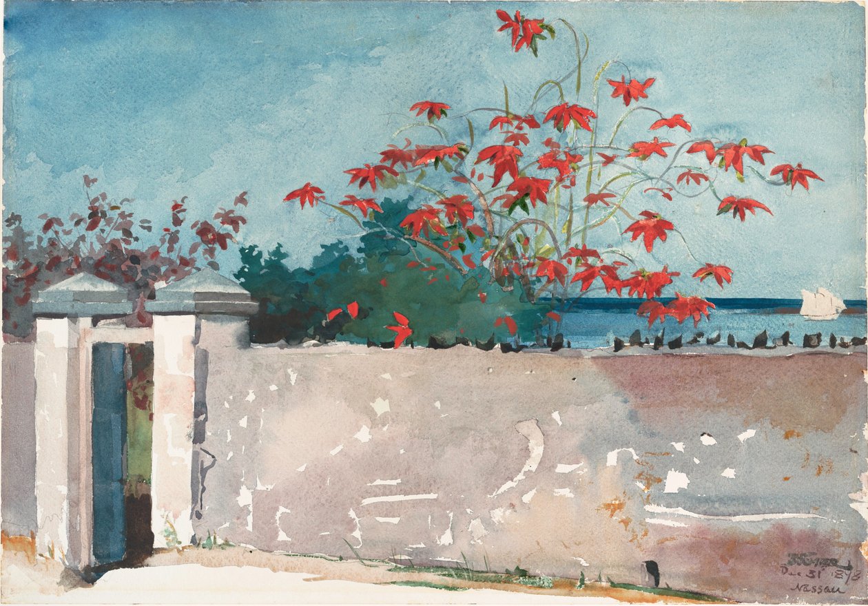 Zeď, Nassau od Winslow Homer