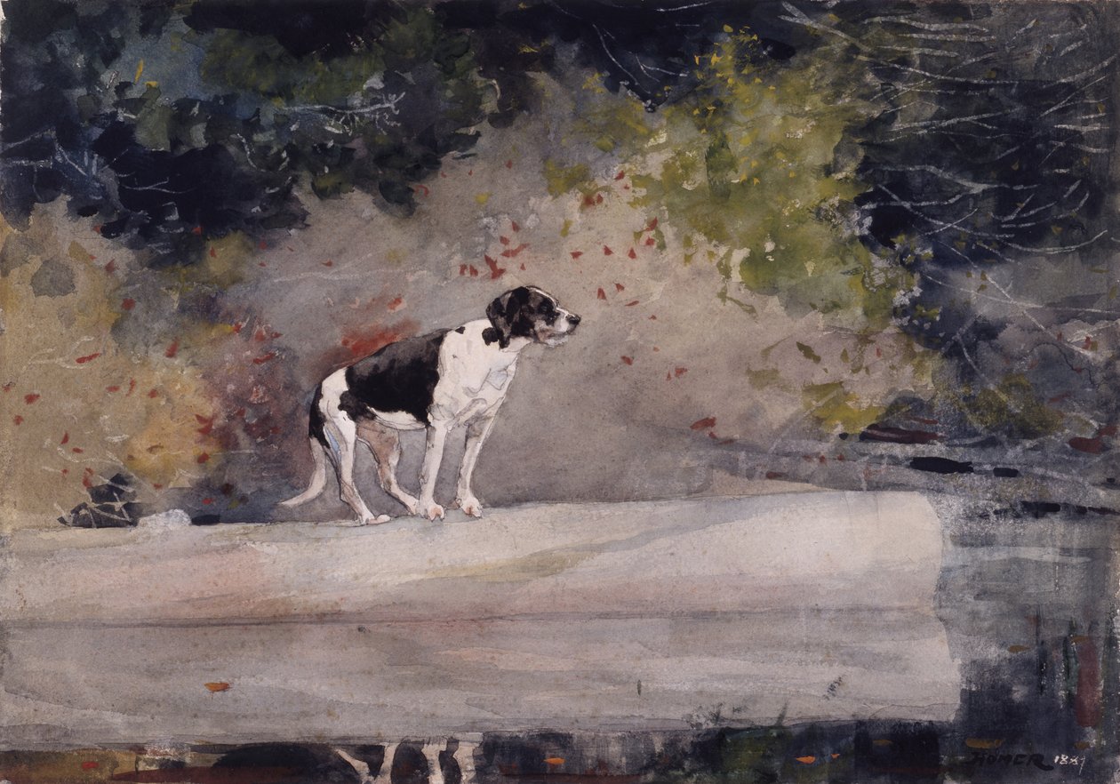 Pes na kládě, 1889 od Winslow Homer