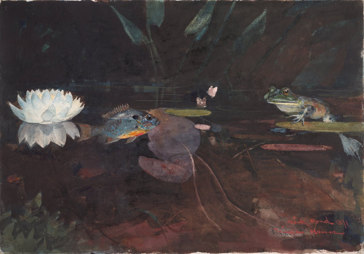 Mink rybník od Winslow Homer