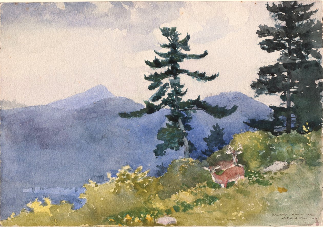 North Woods Club, Adirondacks od Winslow Homer