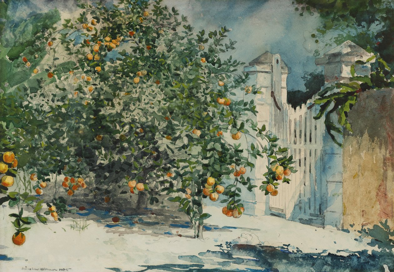 Pomeranče a brána od Winslow Homer