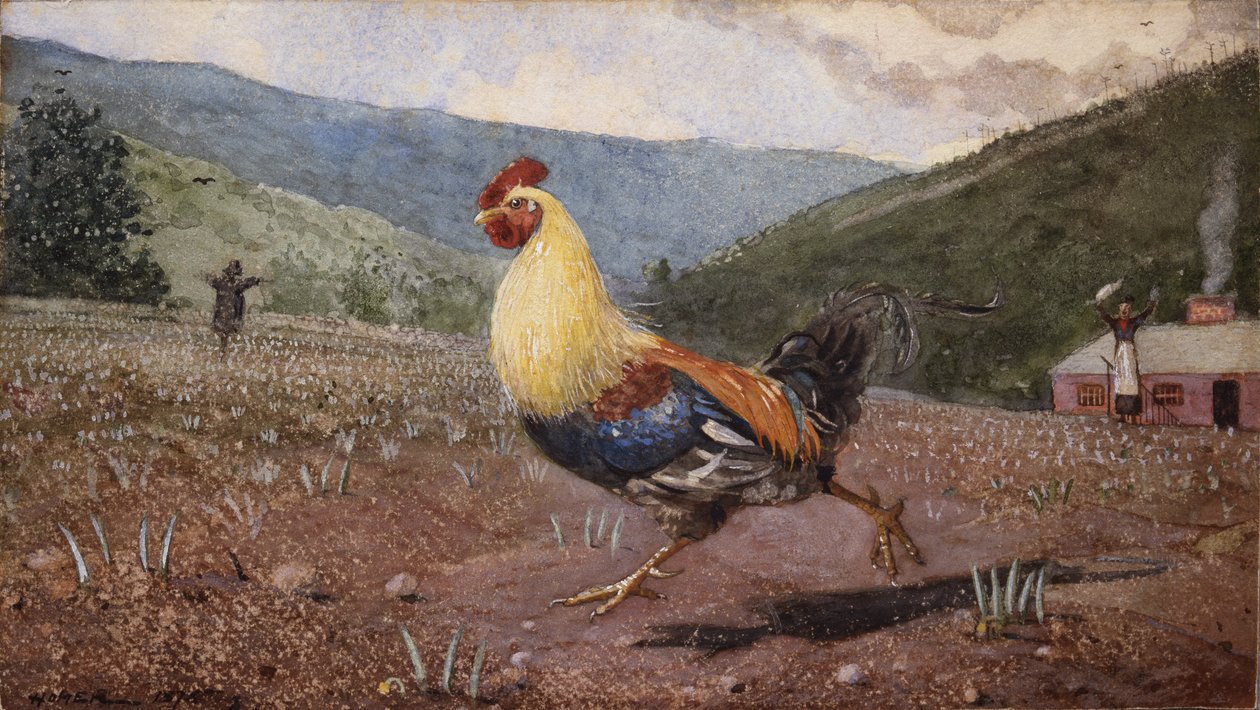 Kohout, 1876 od Winslow Homer