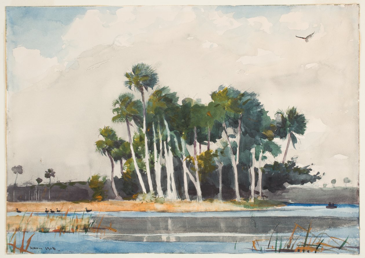 Káně krůtí (wc nad grafitem na papíře) od Winslow Homer