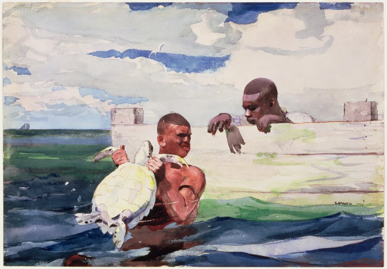 Turtle Pound, 1898 (wc nad tužkou na papíře) od Winslow Homer