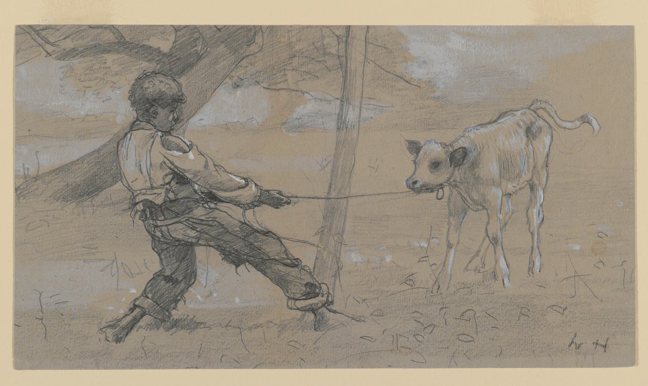 Nezkrotné tele (grafit a čínská bílá na tkaném papíře) od Winslow Homer
