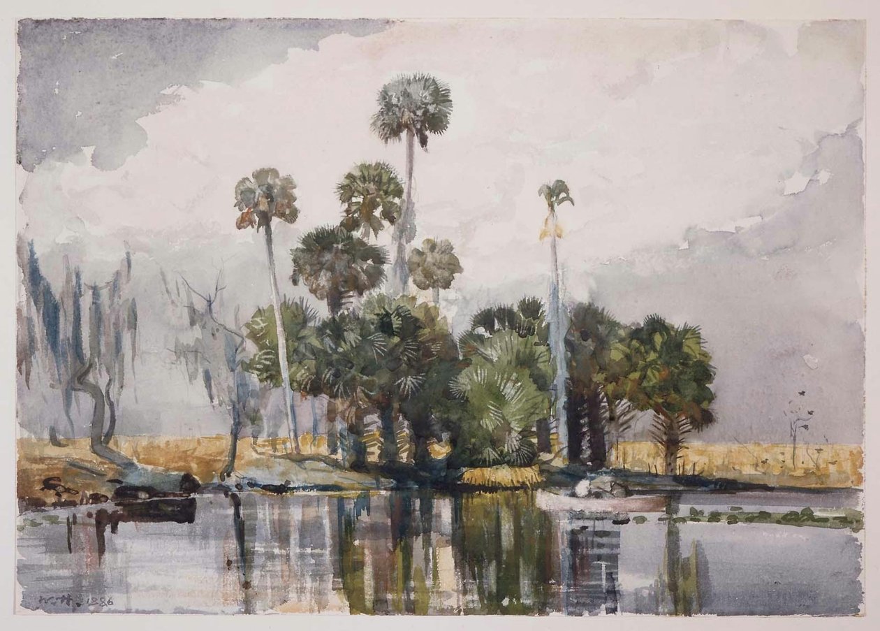 Bar Thornhill od Winslow Homer