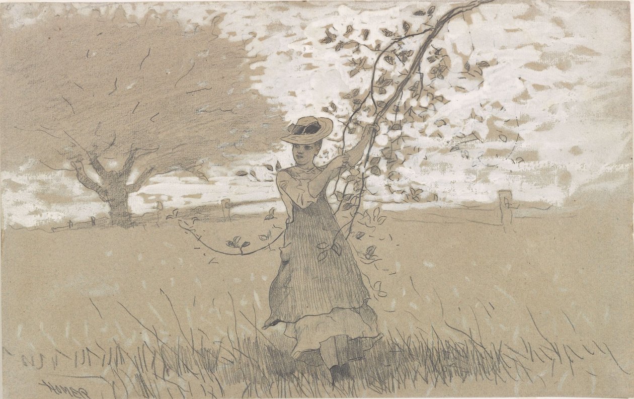 Pod jablkovými větvemi od Winslow Homer