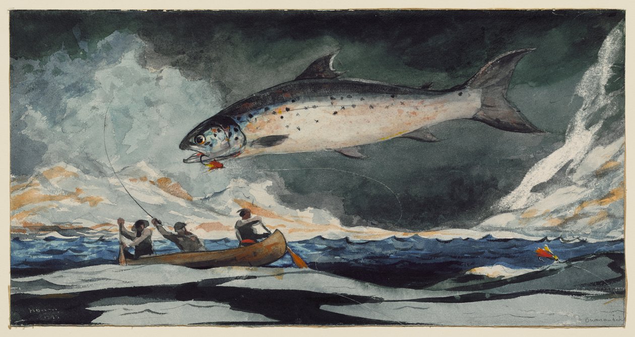 Krásný bazén, řeka Saguenay od Winslow Homer