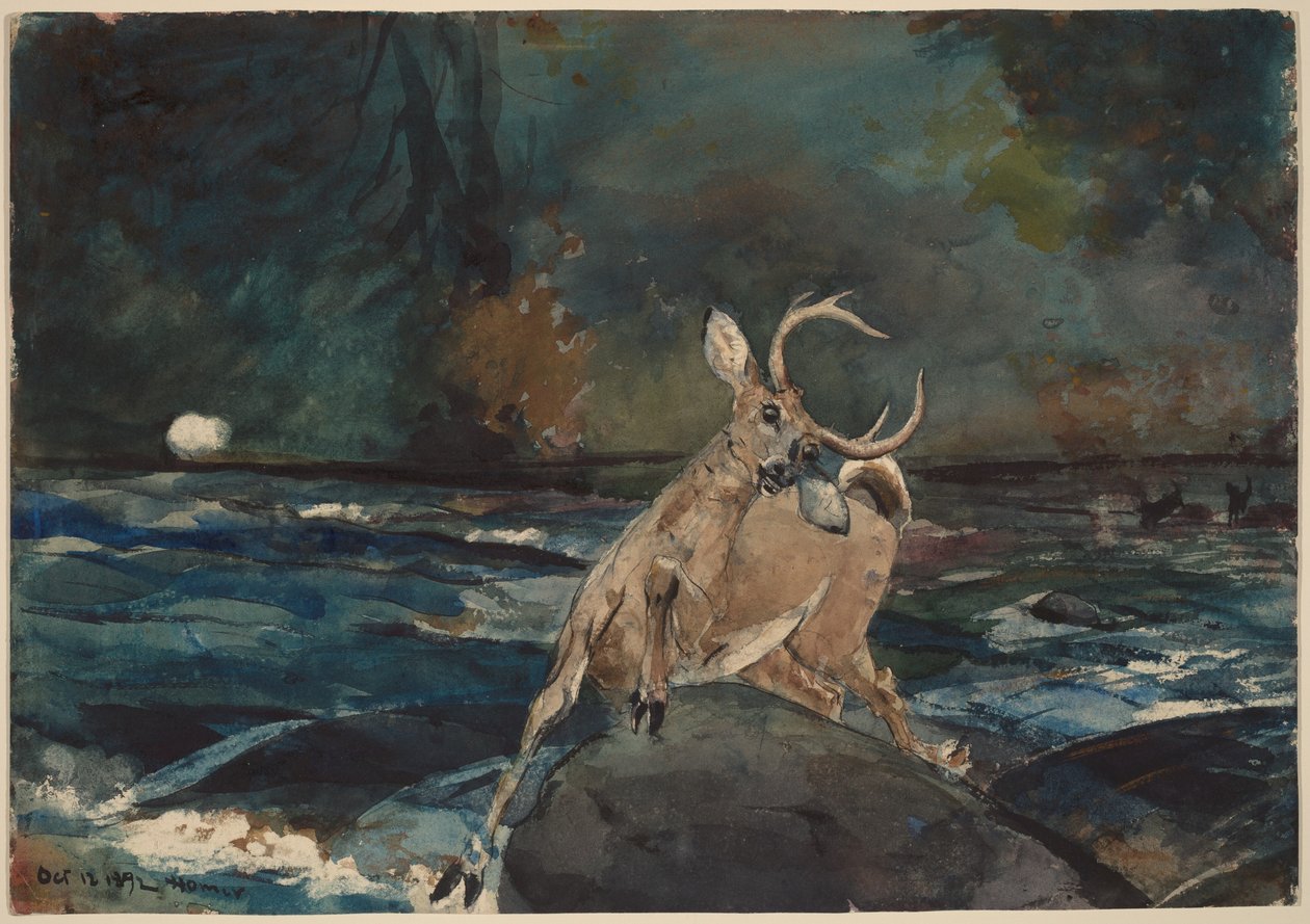 Dobrá rána, Adirondacky od Winslow Homer