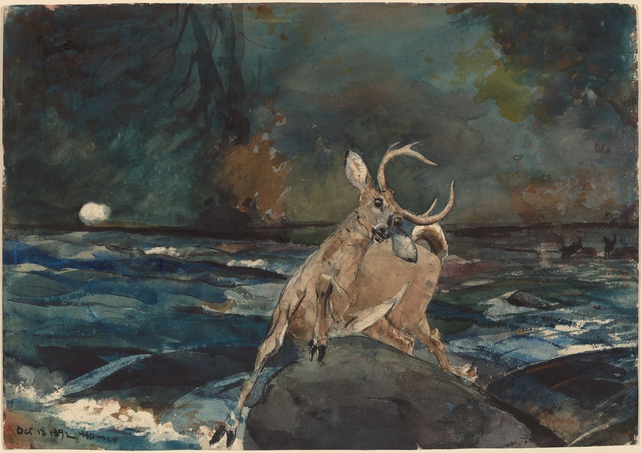 Dobrá střela, Adirondacks, 1892. od Winslow Homer