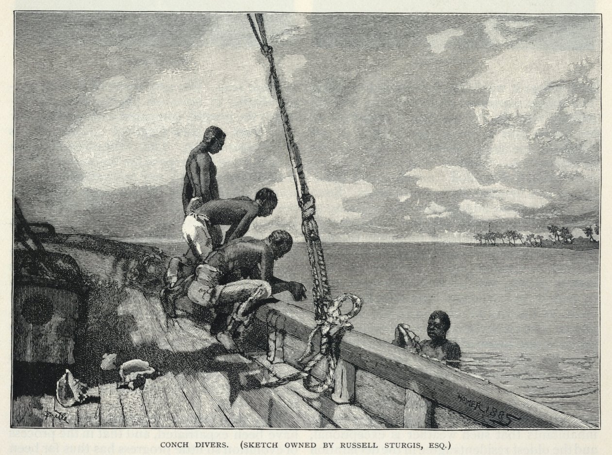 Hurikán, Pěstování konopí, Na ostrově Abaco, Prodavač květin, Potápěči s konšemi, z časopisu The Century Magazine, únor 1887 od Winslow Homer