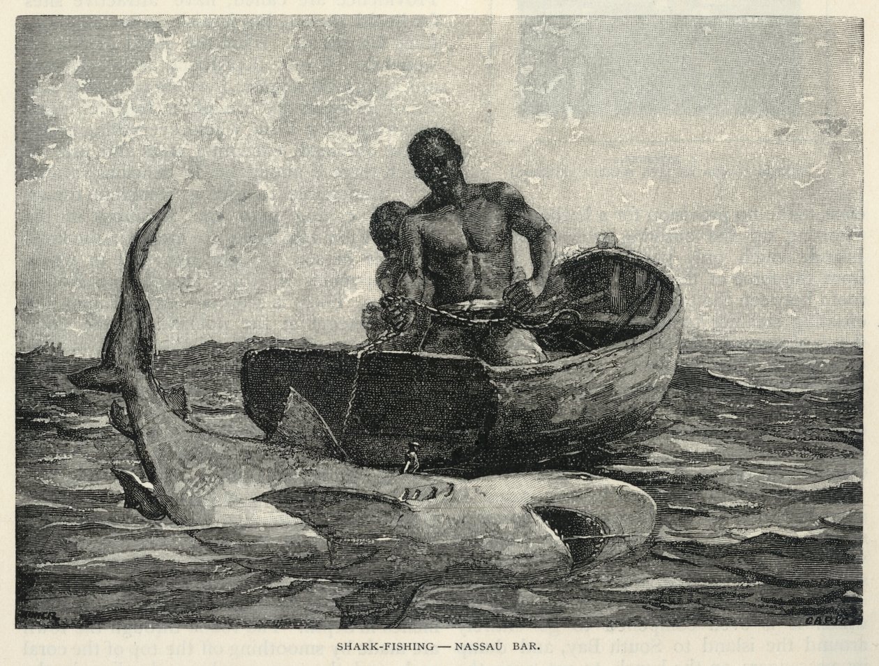Podomní obchodník, brána Nassau, lov žraloků - bar Nassau, z časopisu The Century, únor 1887 od Winslow Homer