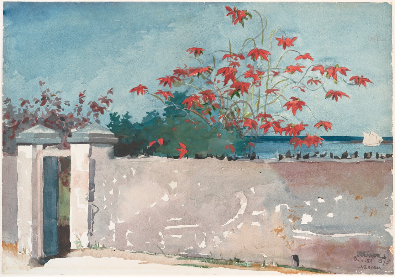 Zeď, Nassau od Winslow Homer