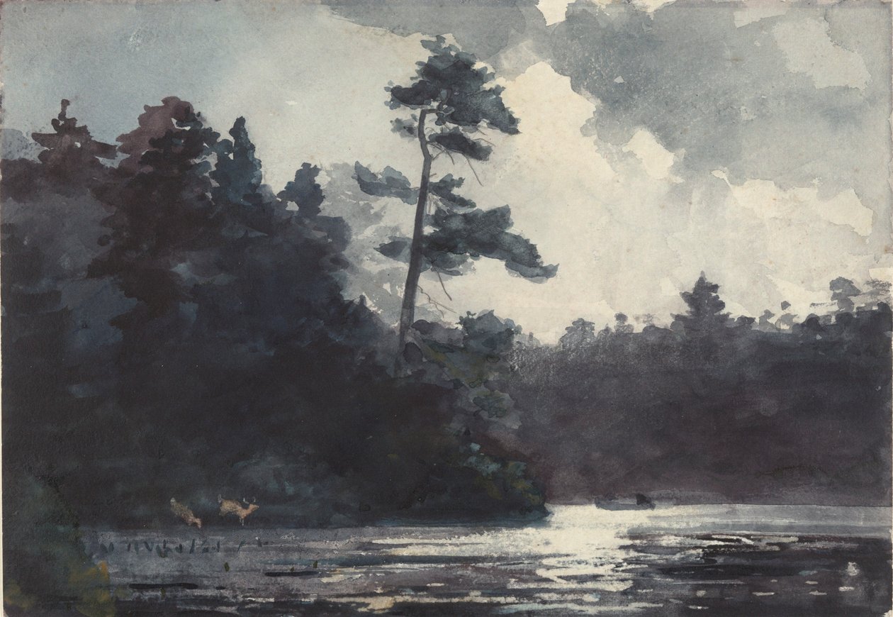 Jezero Adirondack od Winslow Homer