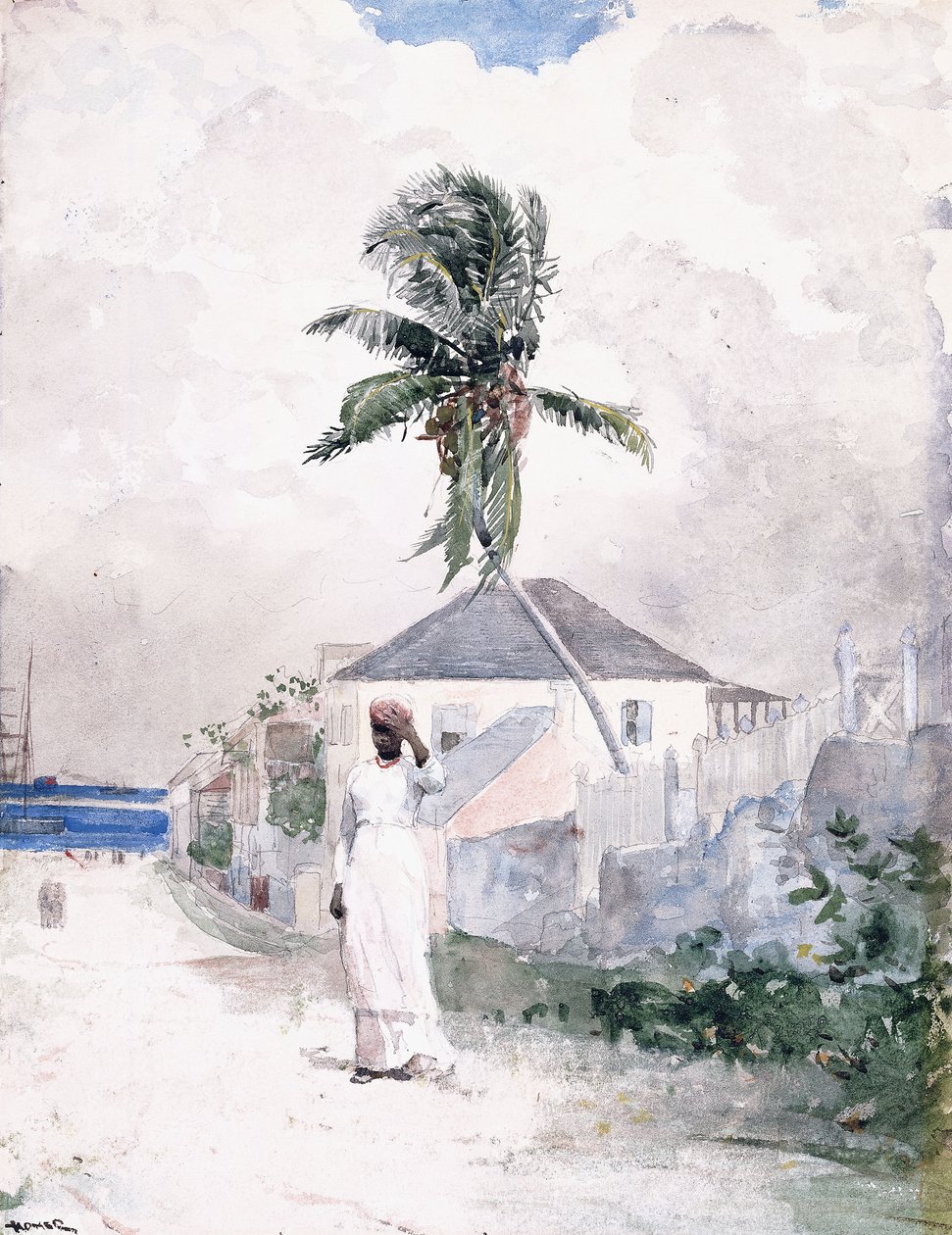 Podél cesty, Bahamy, 1885 od Winslow Homer