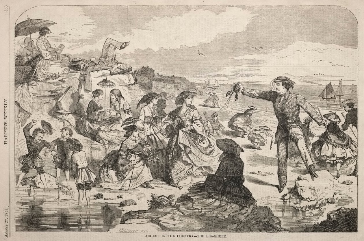 Srpen na venkově - Pobřeží, 1859. od Winslow Homer