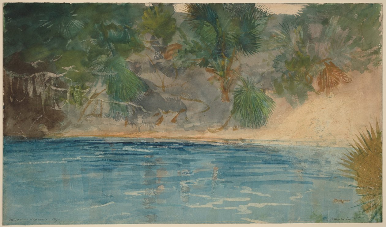 Blue Spring, Florida od Winslow Homer