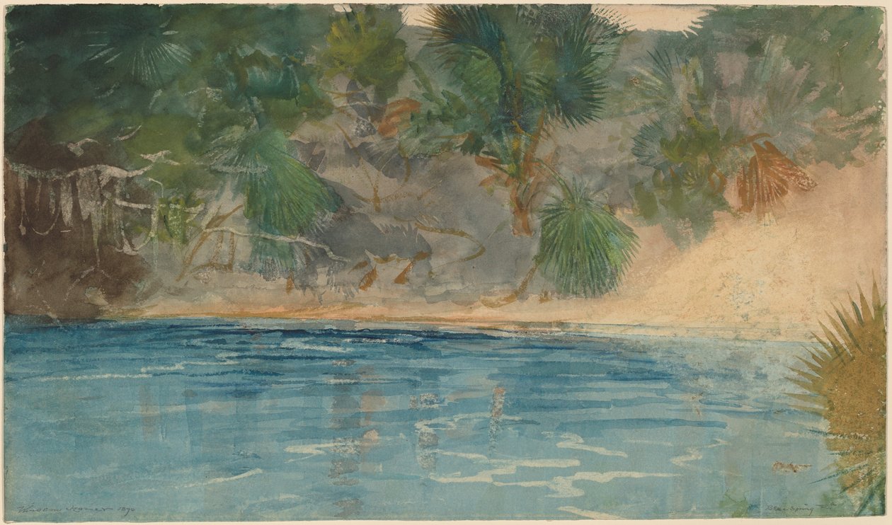 Blue Spring, Florida, 1890. od Winslow Homer
