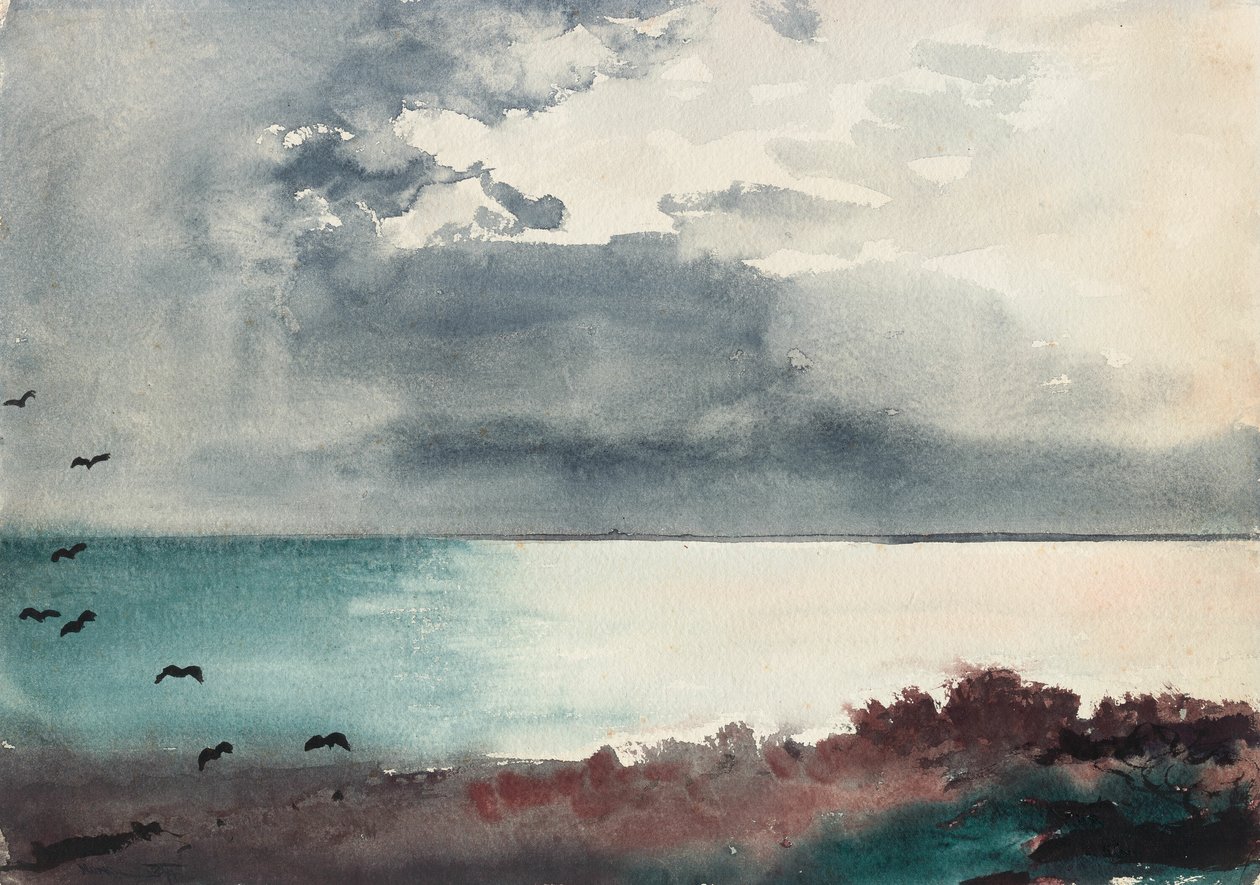 Bouře, pobřeží státu Maine od Winslow Homer