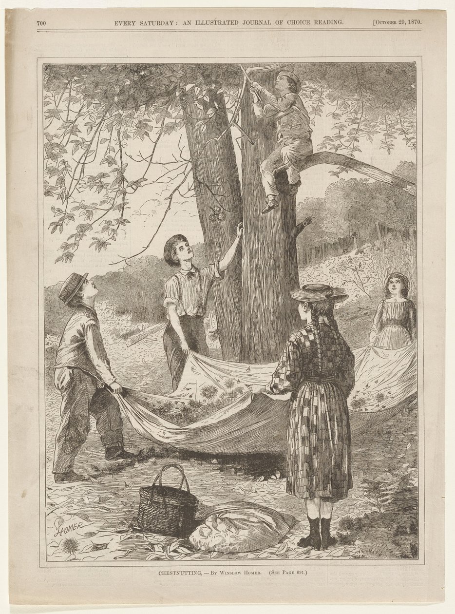 Sbírání kaštanů od Winslow Homer
