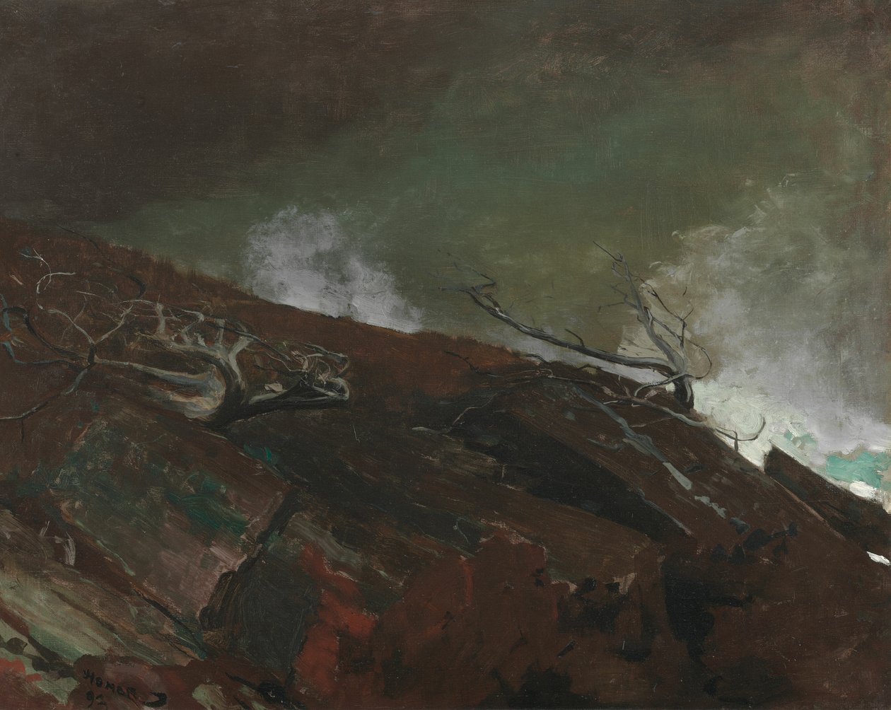 Pobřeží Maine od Winslow Homer