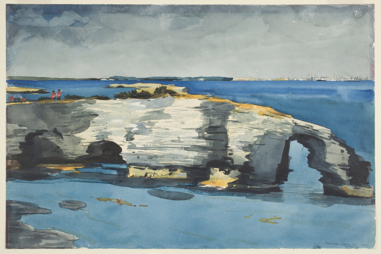 Formace korálů od Winslow Homer