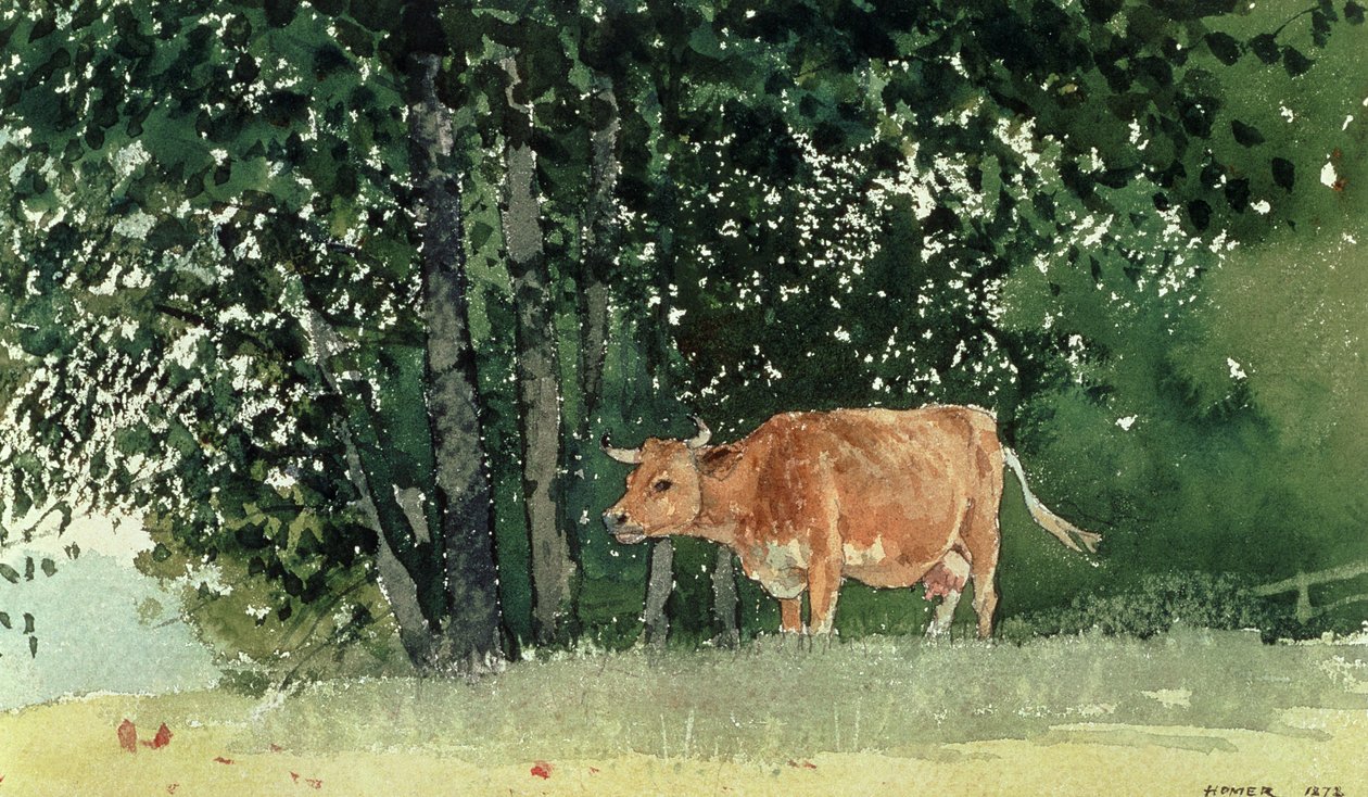 Kráva na pastvě, 1878 od Winslow Homer