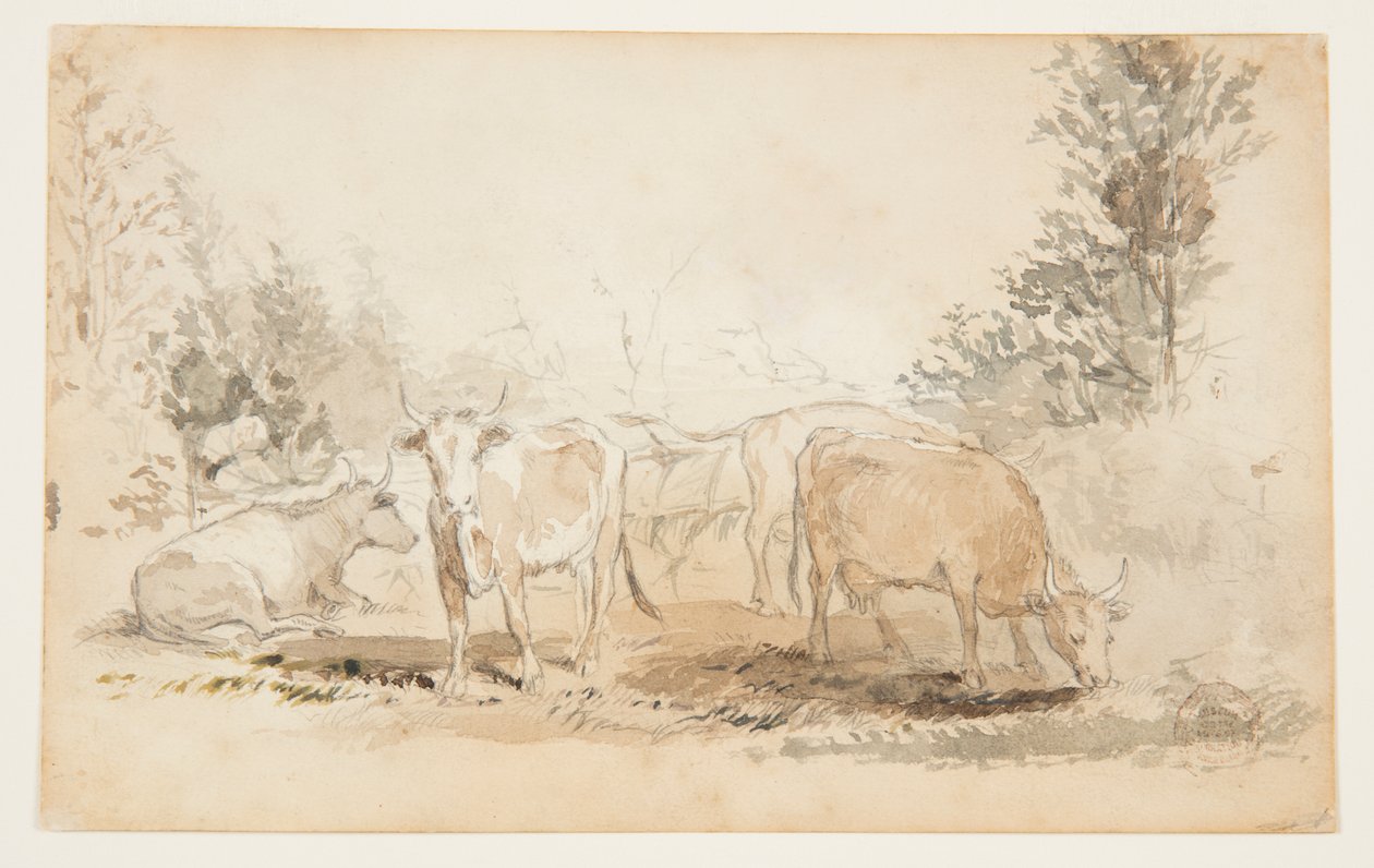 Krávy na pastvině od Winslow Homer