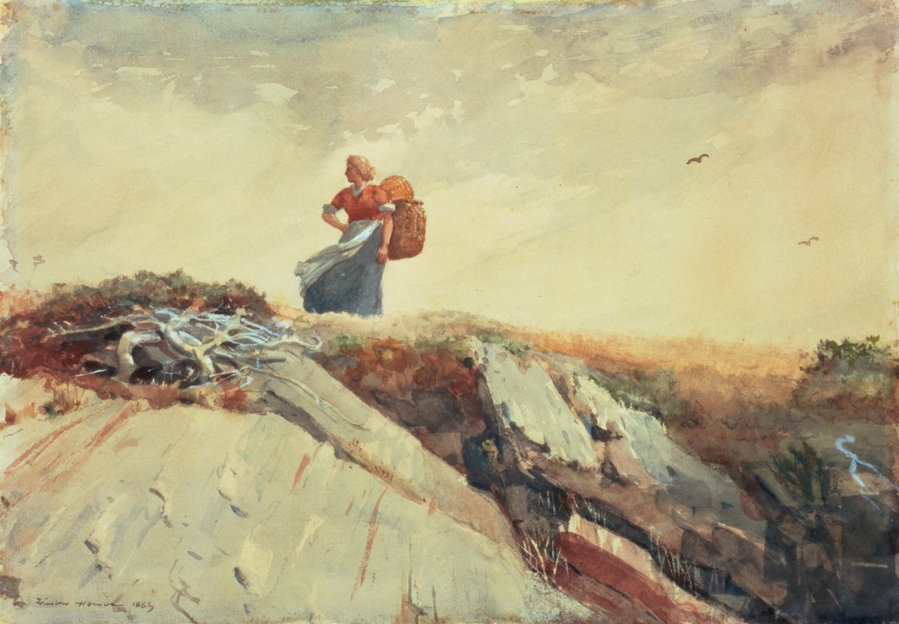 Down the Cliff, 1883 od Winslow Homer