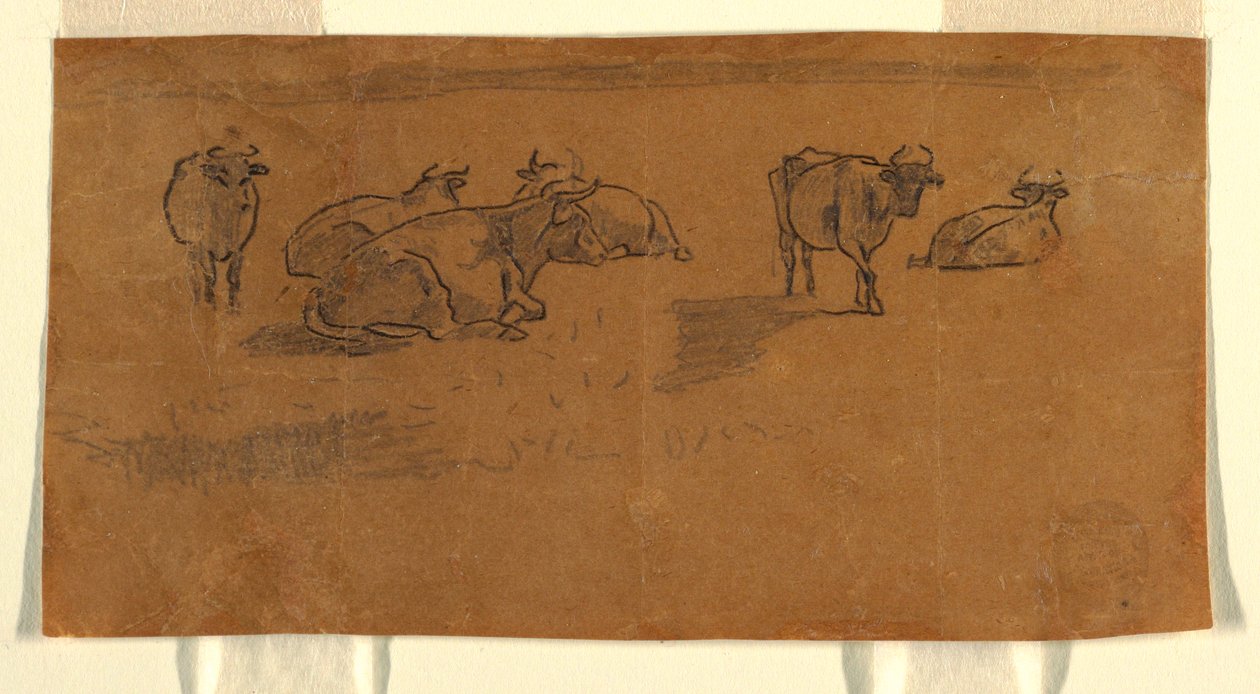 Kresba, Krávy na pastvině, asi 1872 od Winslow Homer