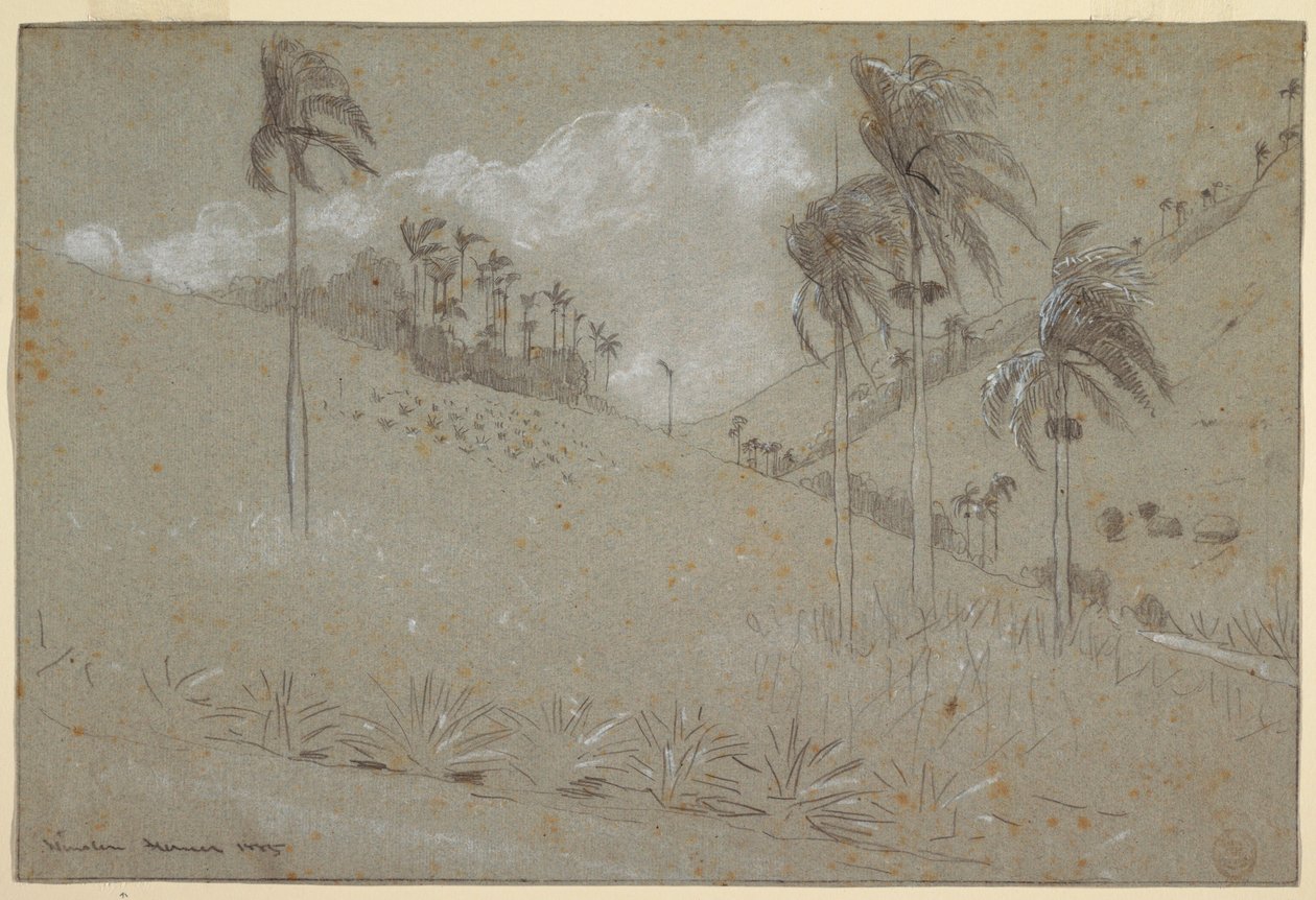Kresba, Kubánské úbočí, 1885 od Winslow Homer