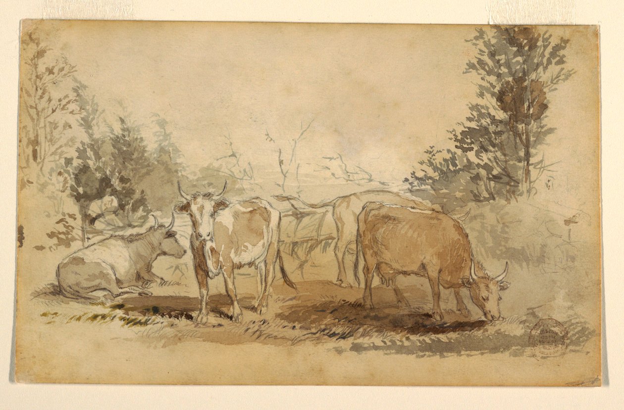 Kresba, Čtyři krávy pasoucí se na pastvině, asi 1855-60 od Winslow Homer