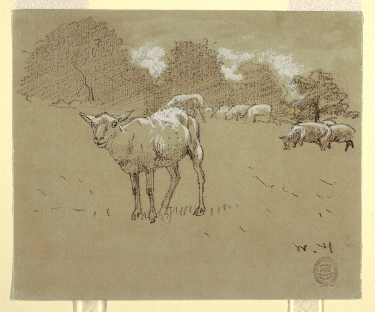 Kresba, Ovce pasoucí se na poli, asi 1875-78 od Winslow Homer